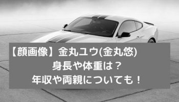 金丸ユウの年収は？身長は？マギーとの身長差が気になる！ photo 0